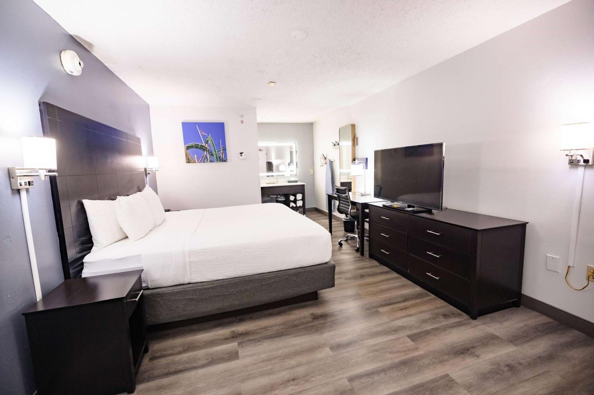 La Quinta Inn By Wyndham Tampa Near Busch Gardens Extérieur photo